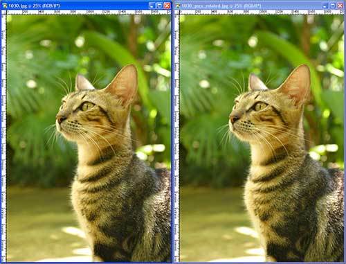 Arith - Image Compressor